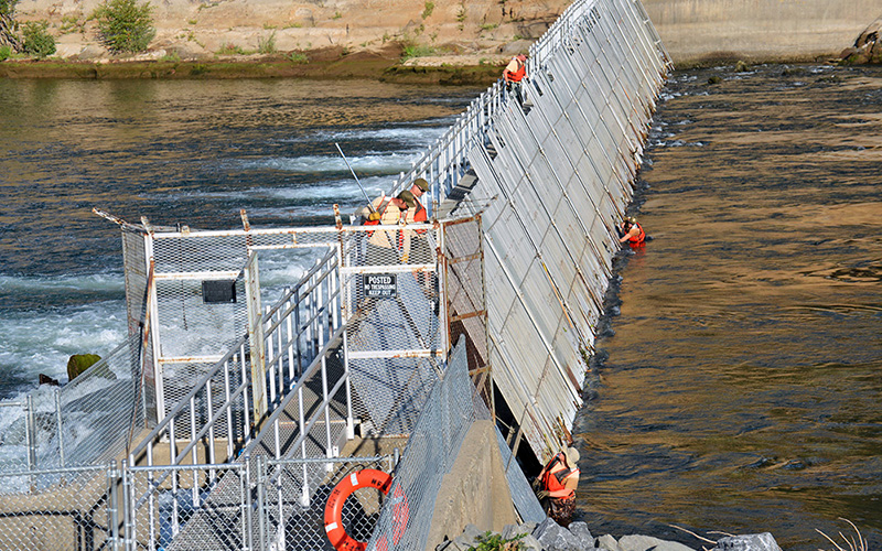 Nimbus Fish Hatchery Gold River, CA Absolut Electric Inc.